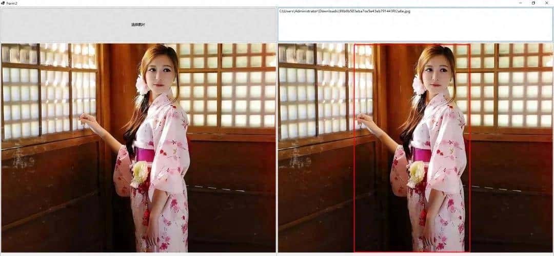 C#WinForm调用Yolov8Net实现自动识别