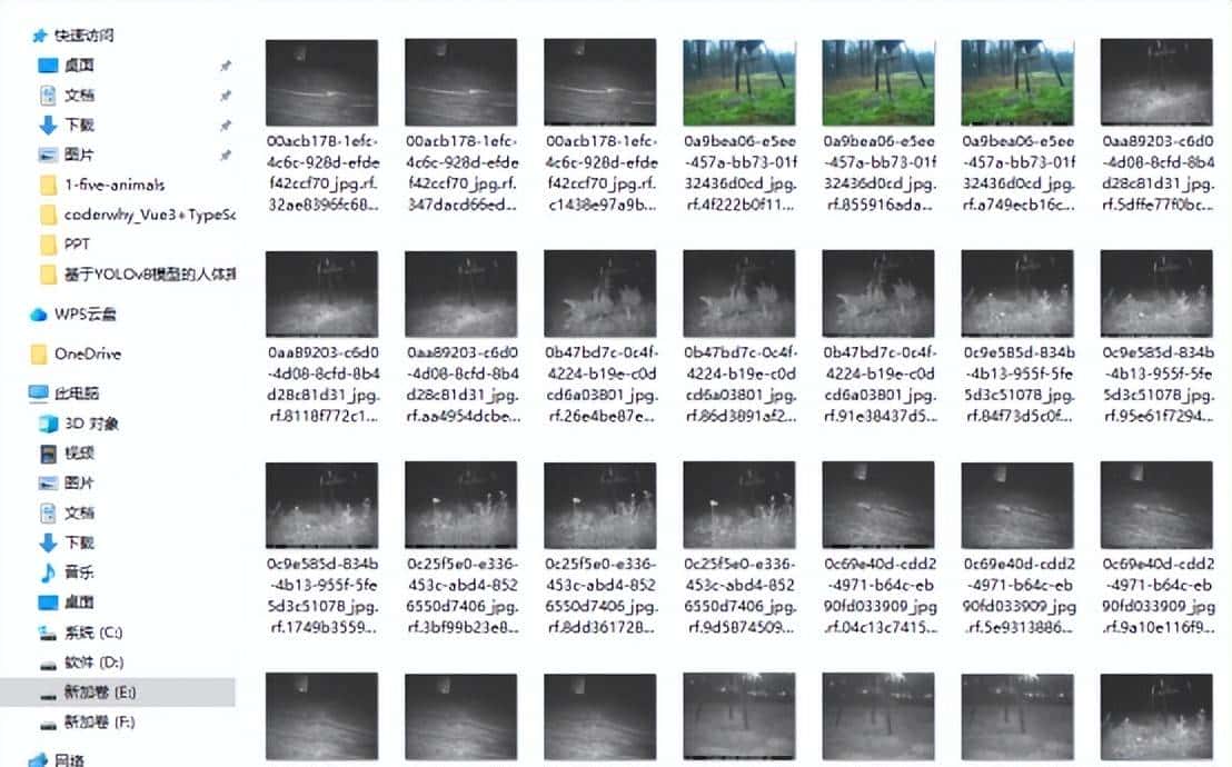 基于YOLO系列算法和Streamlit框架的五类动物目标检测系统