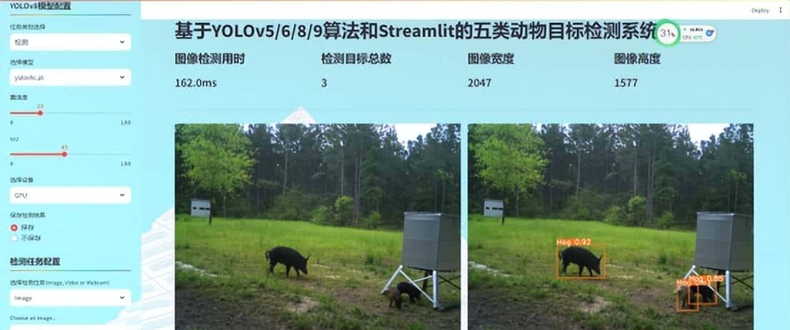 基于YOLO系列算法和Streamlit框架的五类动物目标检测系统