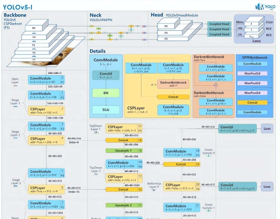 基于YOLO系列算法和Streamlit框架的五类动物目标检测系统