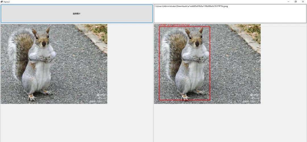 C#WinForm调用Yolov8Net实现自动识别
