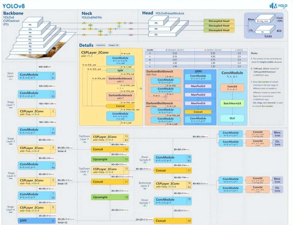 基于YOLO系列算法和Streamlit框架的五类动物目标检测系统
