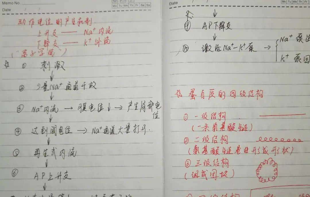 嘿,浙师喊你早自习啦