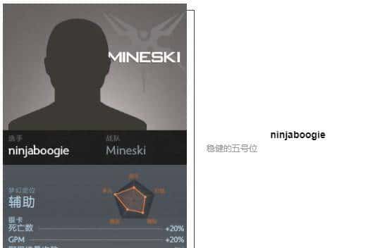 「瓜皮·TI科普篇」TI8战队巡礼！