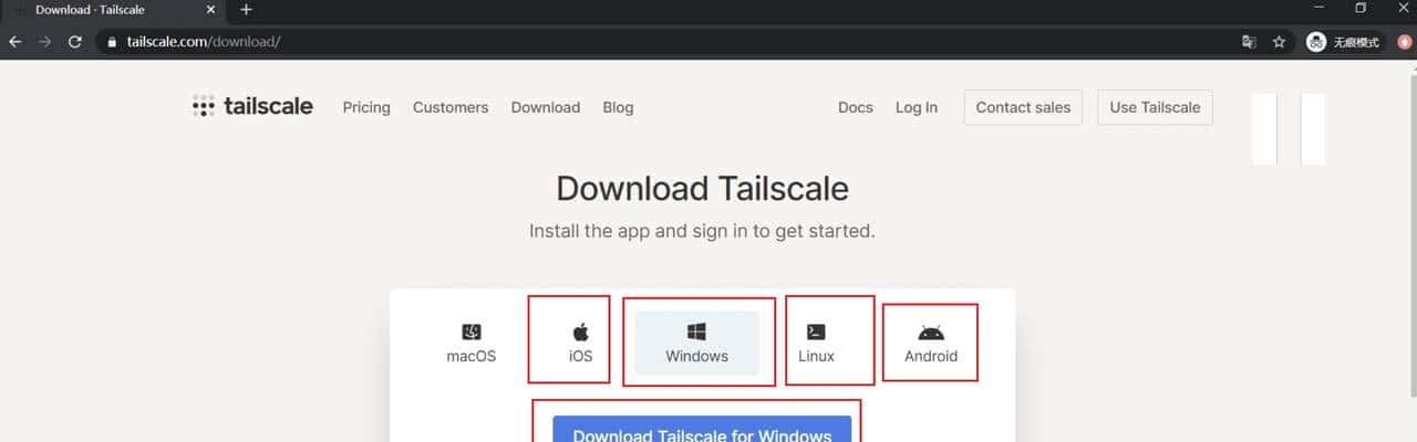 部署TailScale，实现远程访问！最简单的远程访问、开箱即用方案
