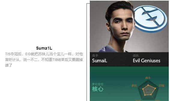 「瓜皮·TI科普篇」TI8战队巡礼！