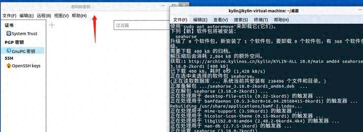 银河麒麟V10清除密钥环提示方法