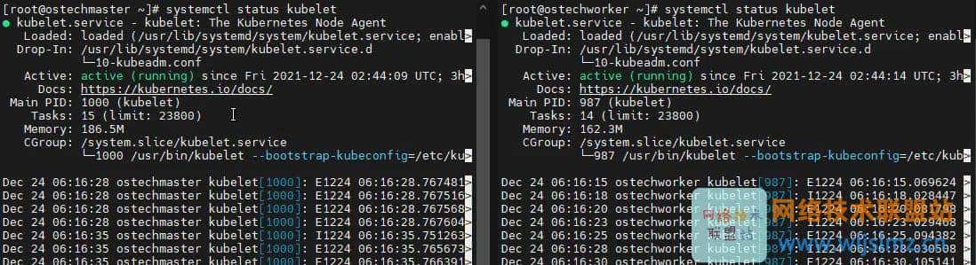 运维必看:如何在 RHEL 8 中使用 Kubeadm 安装 Kubernetes 集群?