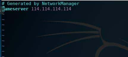 和我一起配置黑客系统kali，带你成为大牛，你真的准备好了吗？