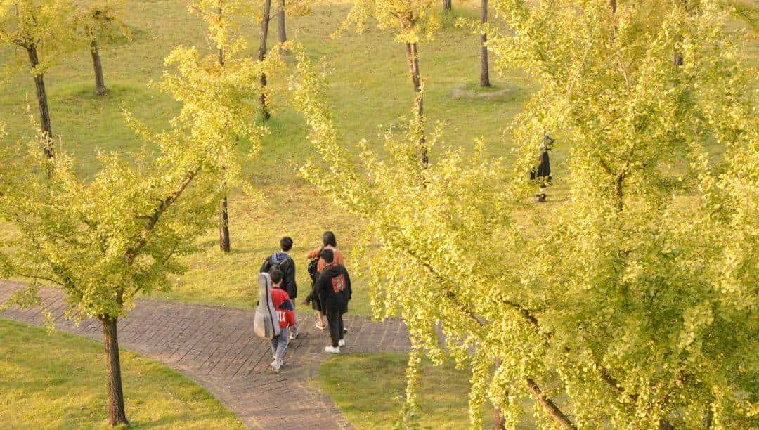 嘿,浙师喊你早自习啦