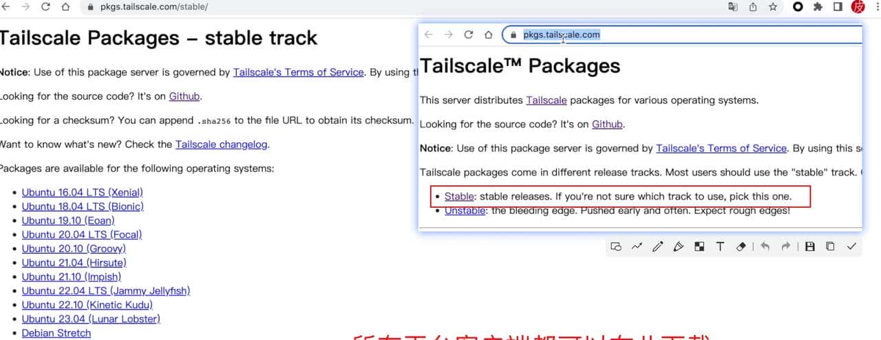 部署TailScale，实现远程访问！最简单的远程访问、开箱即用方案