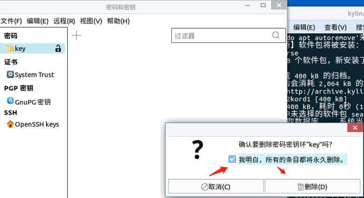 银河麒麟V10清除密钥环提示方法