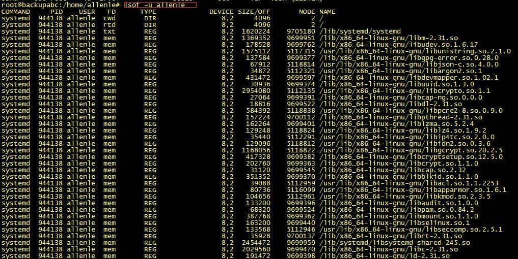 快速上手lsof命令