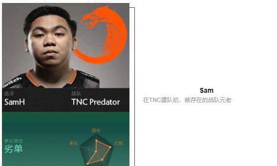 「瓜皮·TI科普篇」TI8战队巡礼！