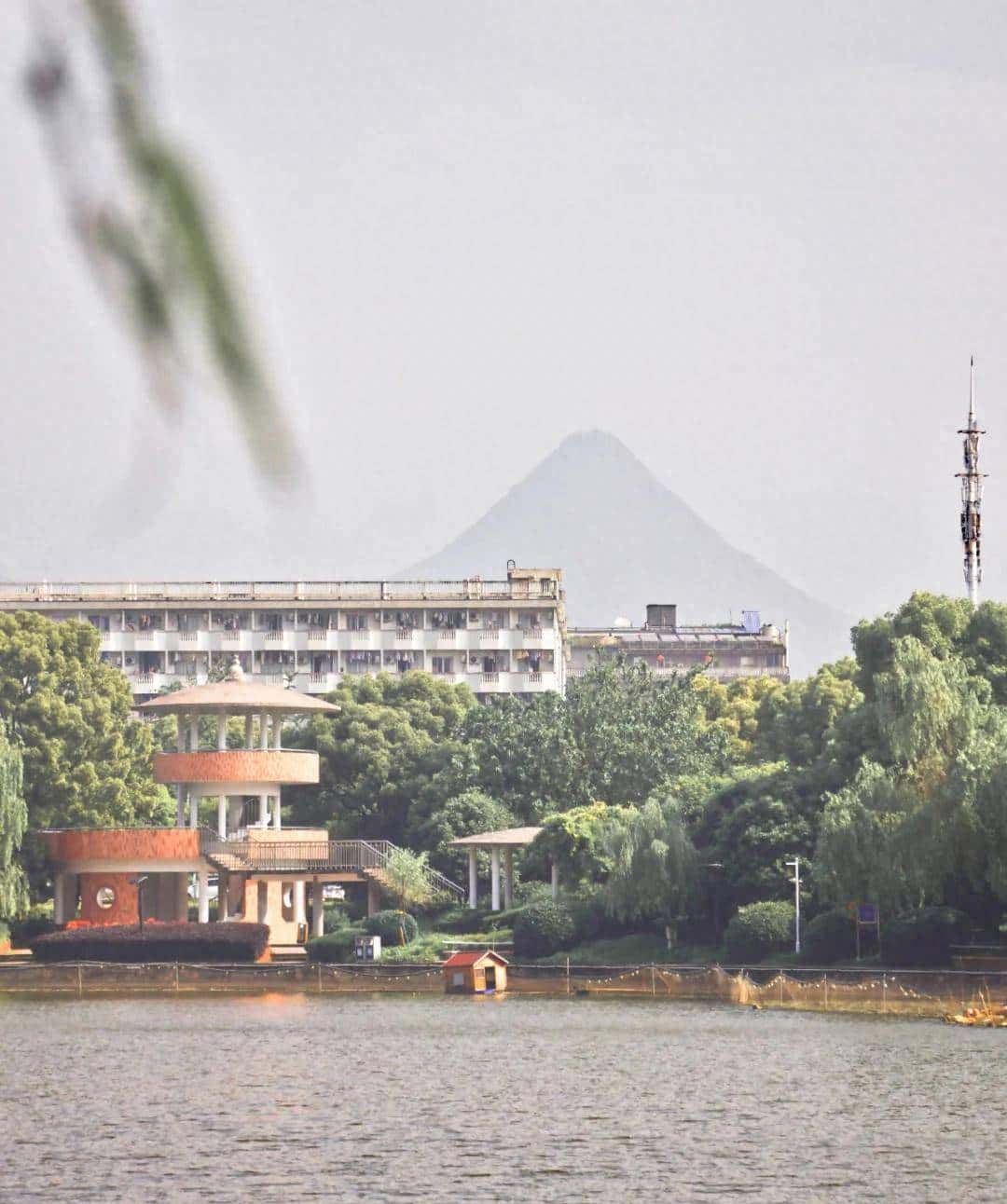 嘿，浙师喊你早自习啦