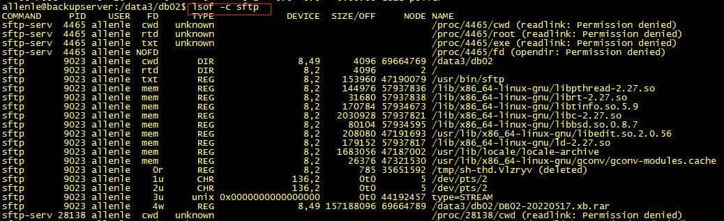快速上手lsof命令