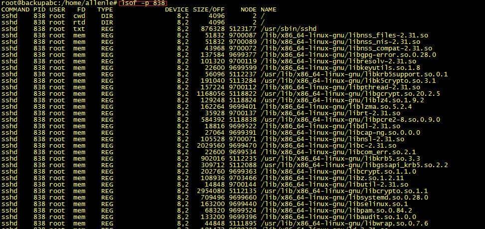 快速上手lsof命令