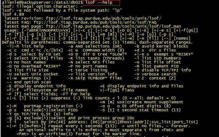 快速上手lsof命令