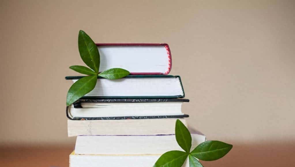 快速了解JavaScript的基础知识