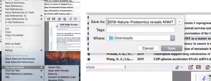 除了引用参考文献，Endnote 这个强劲的功能许多人不知道