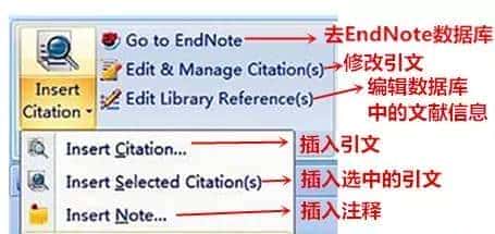 干货 | 了不得，Endnote联合word把参考文献给做了