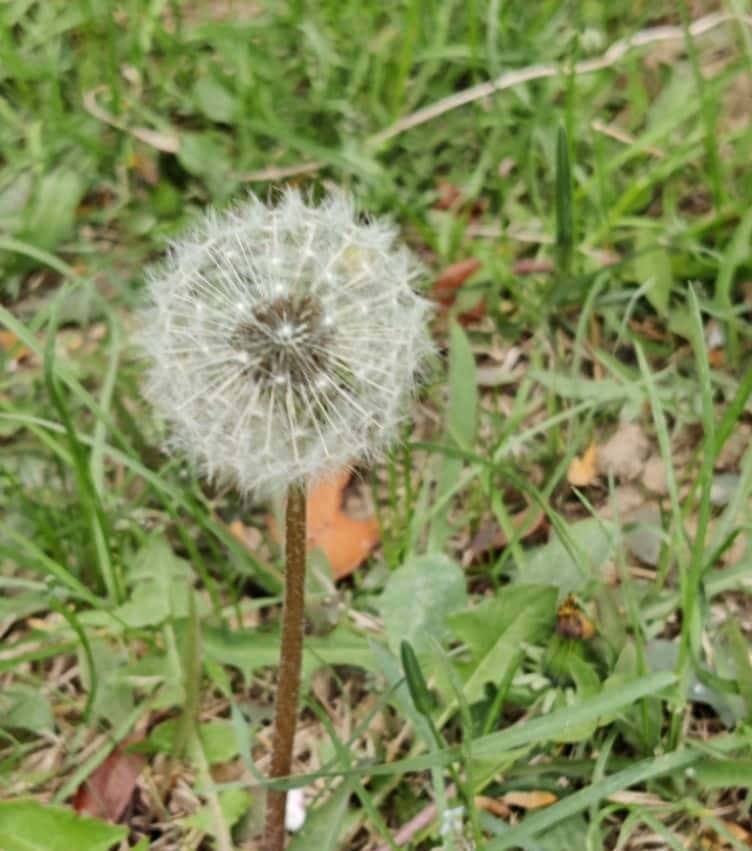 2023年山东夏季高考报考江西省公办本科院校志愿参考-2 470-524分