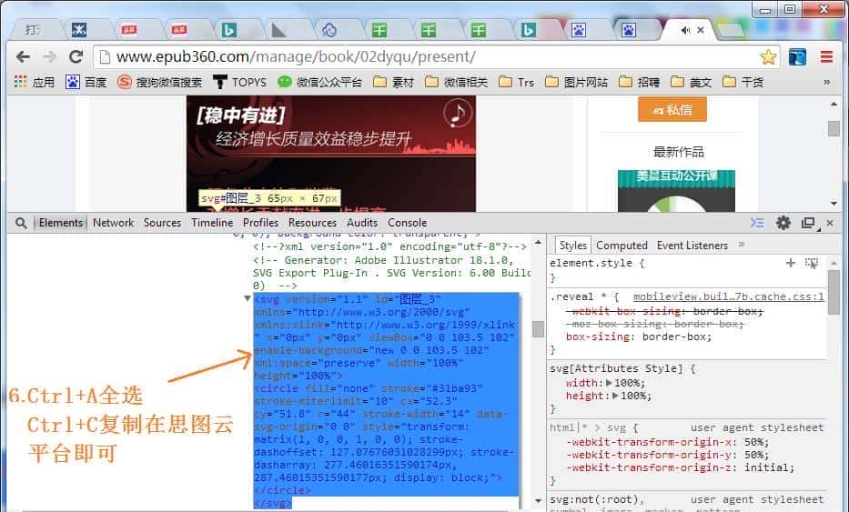 如何在《思图云平台》自定义我的SVG形状