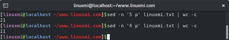 Linux Shell 脚本的 10 个高频面试问答