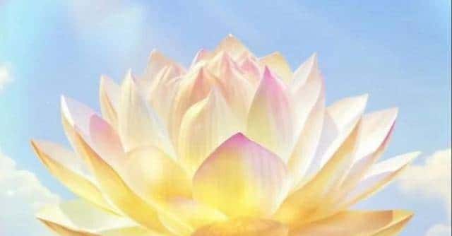 佛说:善有善报,赐你一家干啥都顺,一顺百顺,家庭和睦