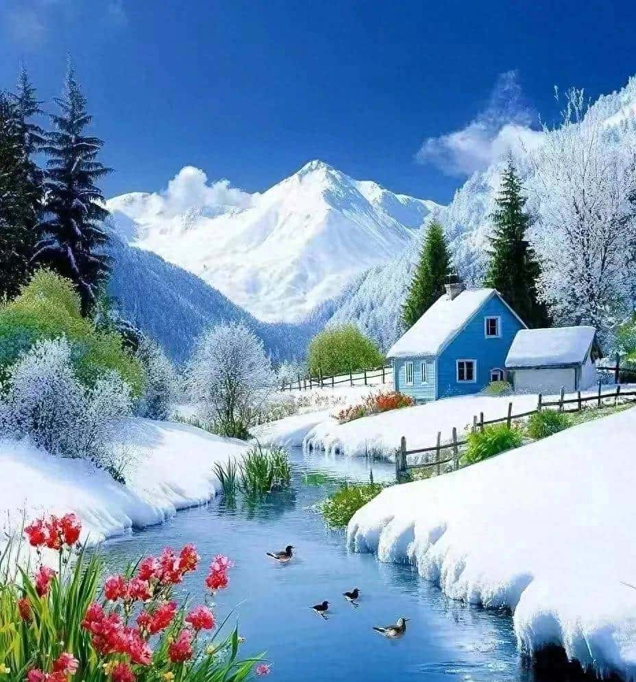 什么是音素，音节和音标？音节该如何划分？美朱老师一文讲清楚！