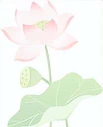 七年级上册语文读读写写生字词汇总(注音+解释),暑假预习必备