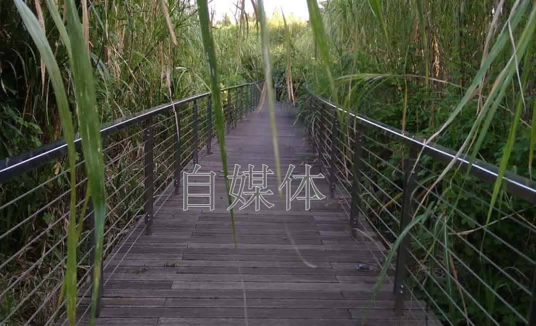 自媒体/新媒体工具速查表