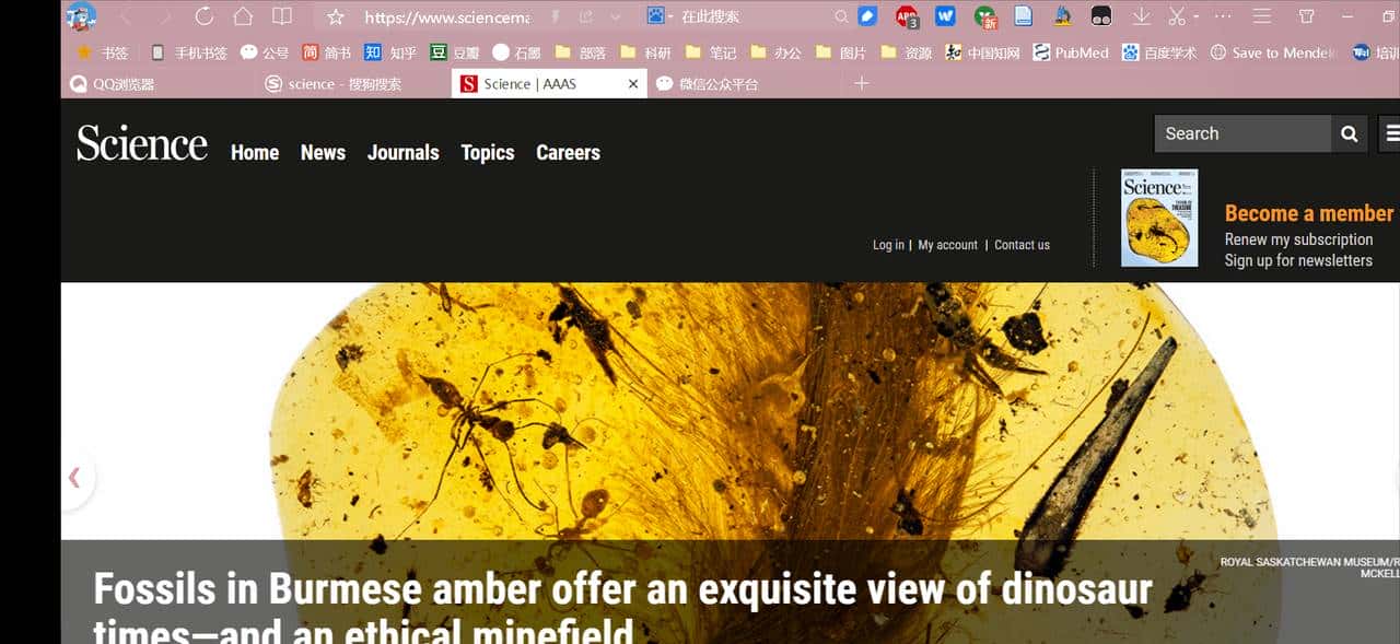 文献管理软件篇-Zotero