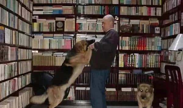 郑渊洁凡尔赛语录大全！精准get凡学精髓，明年喜剧人没你不看