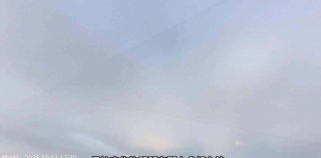 志愿者称广东海丰现大片鸟网，“一望无际，地上还有风干的鸟”，林业局：农民为防鸟而设，已拆除并开展巡查