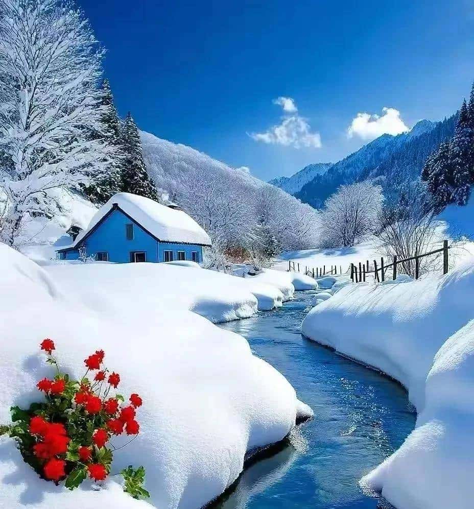 什么是音素，音节和音标？音节该如何划分？美朱老师一文讲清楚！