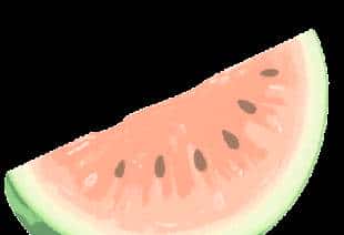 七年级上册语文读读写写生字词汇总(注音+解释),暑假预习必备