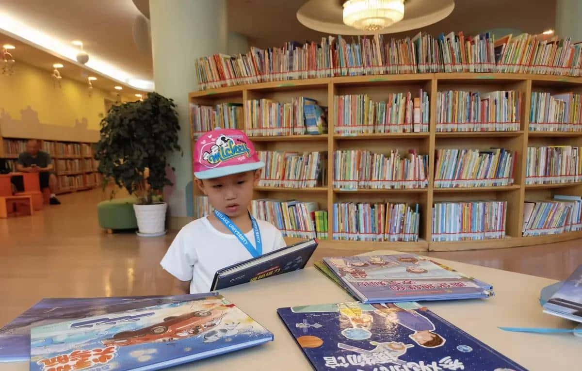 在知识宝库中伴小宝成长，奔赴新程——我的2025年总结