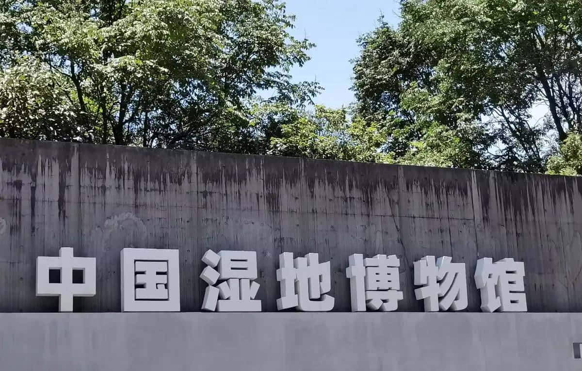 在知识宝库中伴小宝成长，奔赴新程——我的2025年总结