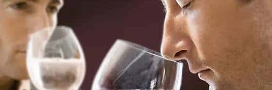 这课程绝了！一场能让学员吃饱、学好的意大利葡萄酒课程