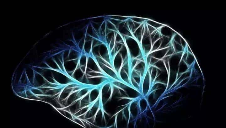 用TensorFlow实现神经网络很难?看完这篇详解,「小白」也秒懂!