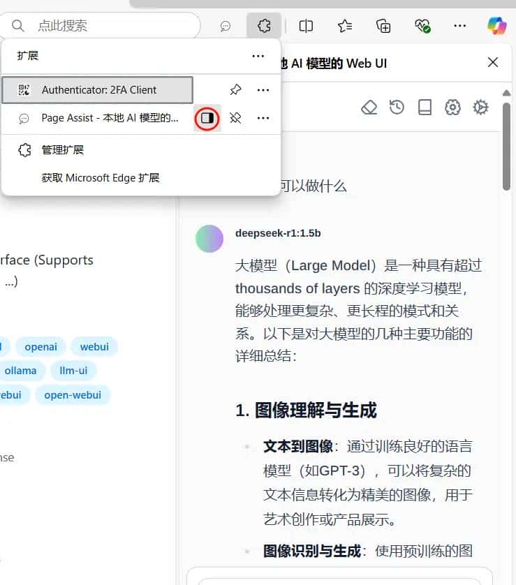 ollama + deepseek-r1 + vscode + continue + pageassist + openwebuilite 搭建本地和公用的ai功能