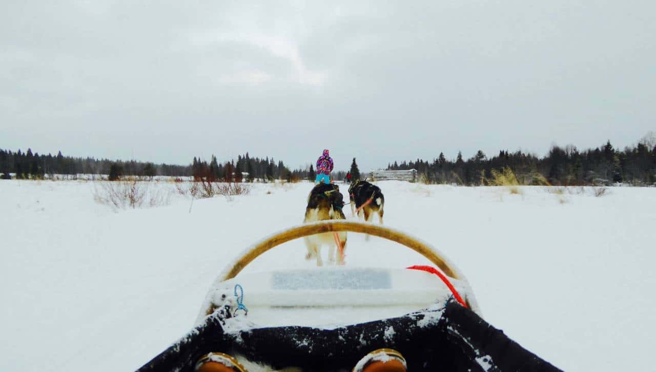 乘着哈士奇雪橇去北极圈撒野