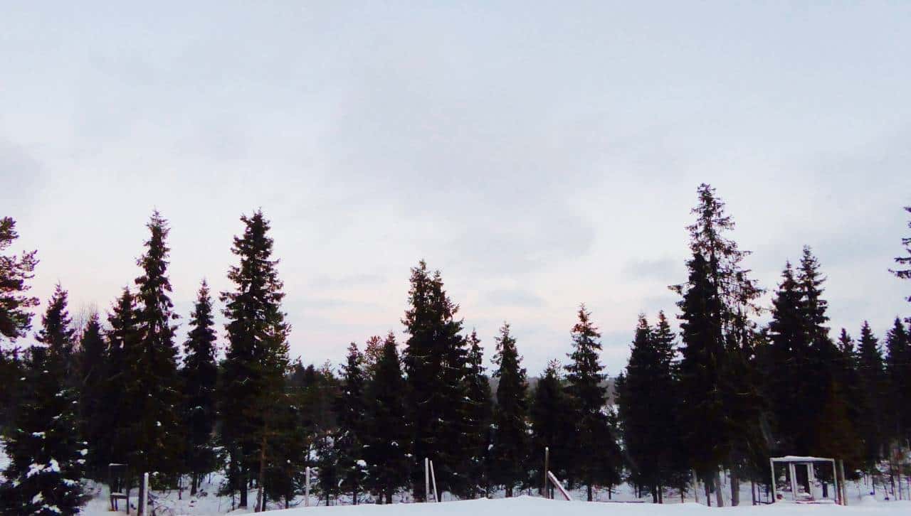 乘着哈士奇雪橇去北极圈撒野