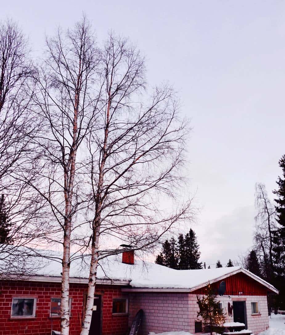 乘着哈士奇雪橇去北极圈撒野