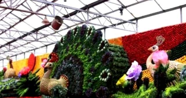 请朋友高手翻译菜乡山东寿光的时间方言