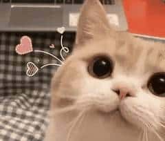 有了它再也不用担心软件删不干净了