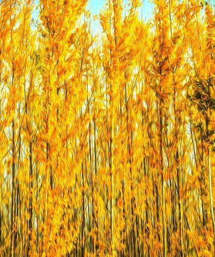 有缘人别不信，你生命中的贵人在等你。你准备好了吗？