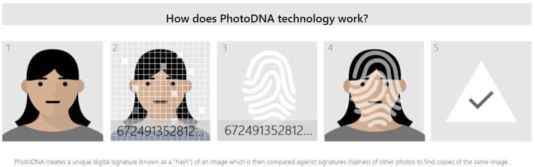 关于 Pandownload 和百度网盘,你想知道的都在这里了