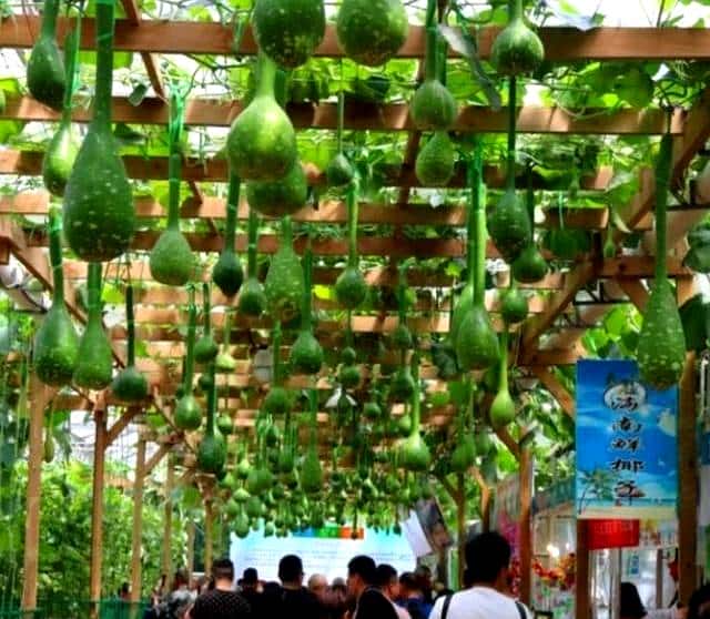 请朋友高手翻译菜乡山东寿光的时间方言